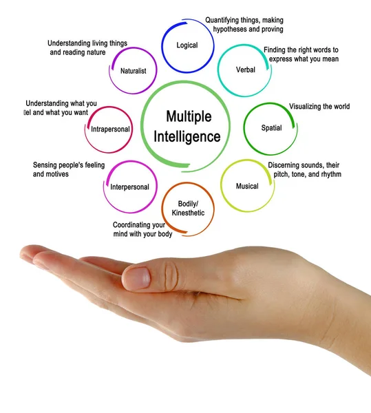 Acht Arten Von Multipler Intelligenz — Stockfoto