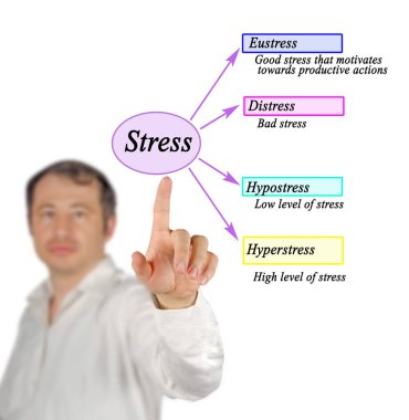 Dört çeşit stres sunar.