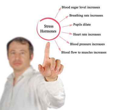 Stres Hormonlarının Altı Etkisi