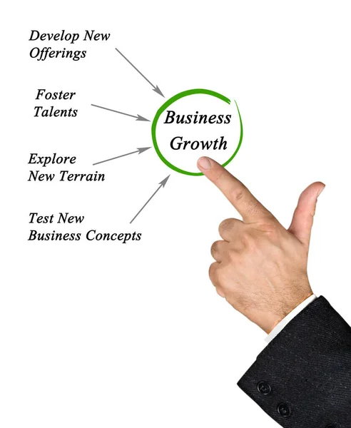 Four Drivers Business Growth — Stock Photo, Image