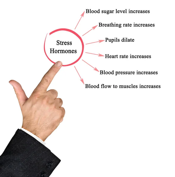 Stres Hormonlarının Altı Etkisi — Stok fotoğraf