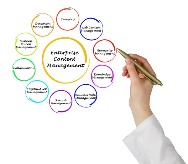 Onderdelen Van Enterprise Content Management — Stockfoto