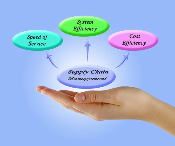 Kvinnan Presenterar Supply Chain Management — Stockfoto