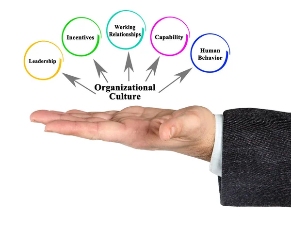 Five Facets Organizational Culture — Stock Photo, Image