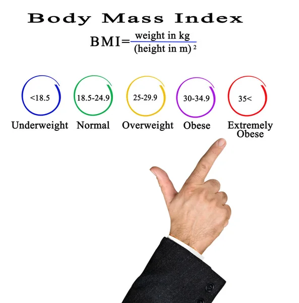Body Mass Index Gesund Und Ungesund — Stockfoto