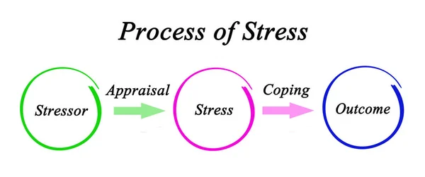 压力过程的组成部分 — 图库照片