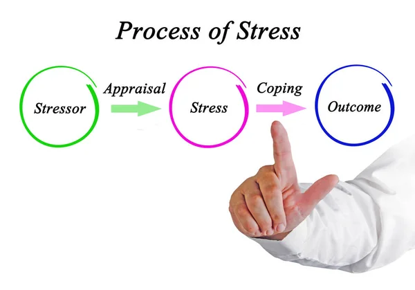 Stres Sürecinin Bileşenleri — Stok fotoğraf