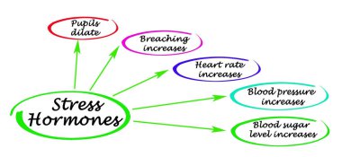 Beş stres hormonu hareketi