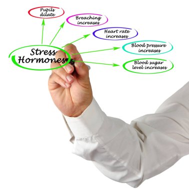 Beş stres hormonu hareketi