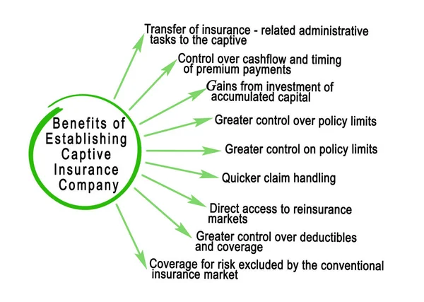 Fördelar Med Att Bilda Ett Captiveförsäkringsbolag — Stockfoto