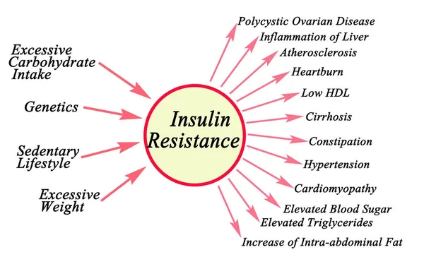 Causas Consecuencias Resistencia Insulina — Foto de Stock