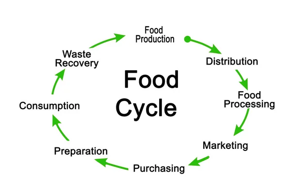 Ocho Componentes Del Sistema Alimentario —  Fotos de Stock