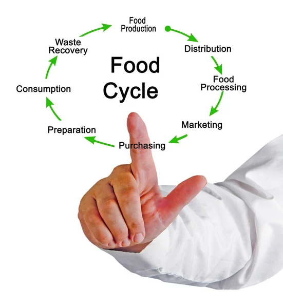 Ocho Componentes Del Sistema Alimentario — Foto de Stock