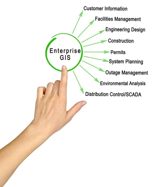 Kvinnan Presenterar Integrerad Enterprise Gis — Stockfoto