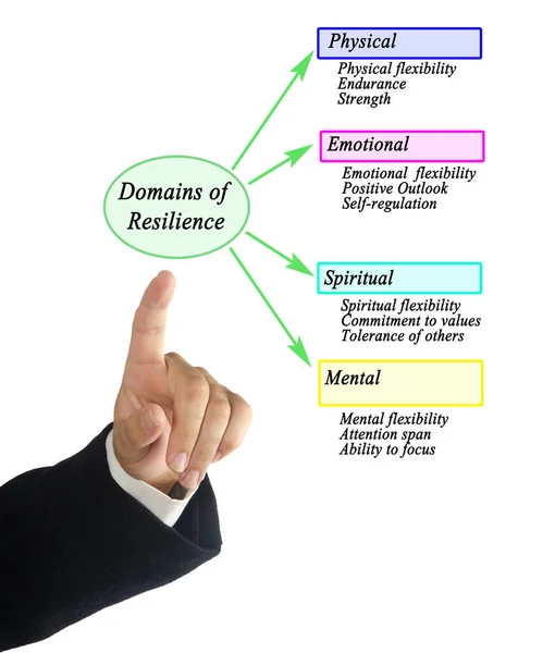 Hombre Presentando Dominios Resiliencia — Foto de Stock