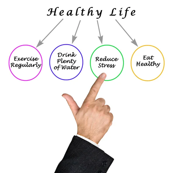 Presentamos Diagrama Vida Saludable — Foto de Stock