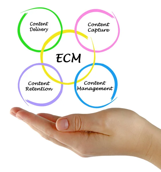 Components Enterprise Content Management — Stock Photo, Image