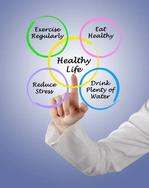 Presentamos Diagrama Vida Saludable — Foto de Stock