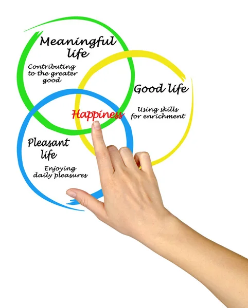 Apresentando Três Fontes Felicidade — Fotografia de Stock