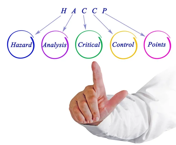 Diagrama Dos Requisitos Regulamentares Haccp — Fotografia de Stock