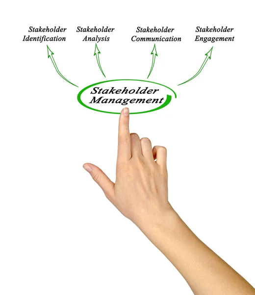 Four Components Stakeholder Management — Stock Photo, Image