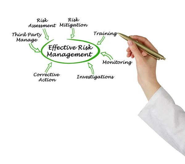 Components Effective Risk Management — ストック写真