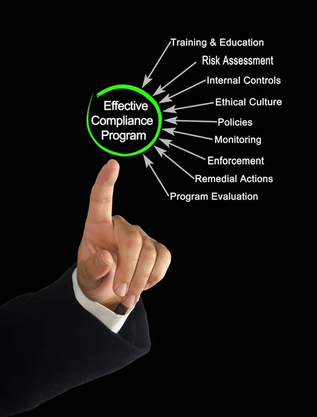 Componentes Del Programa Cumplimiento Efectivo — Foto de Stock
