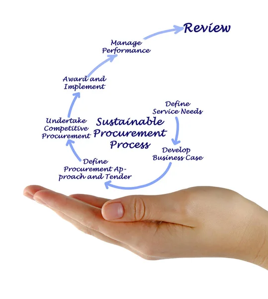 Woman Presenting Sustainable Procurement Process — Stock Photo, Image