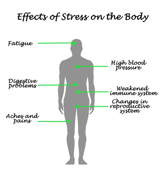 Efectos Del Estrés Cuerpo — Foto de Stock