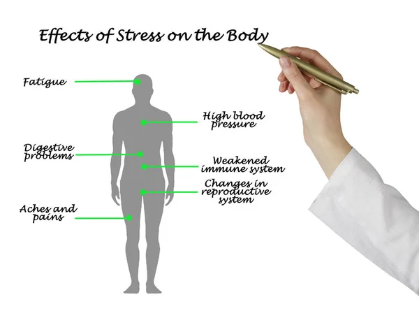 Effects Stress Body — Stock Photo, Image