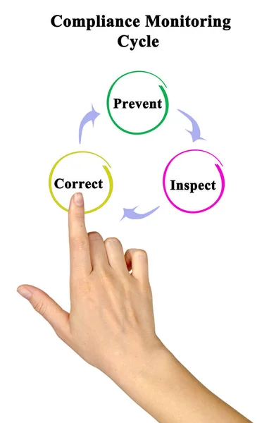 Componentes Del Ciclo Seguimiento Del Cumplimiento — Foto de Stock