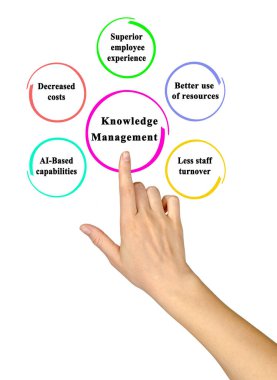 Five Components of Knowledge Management