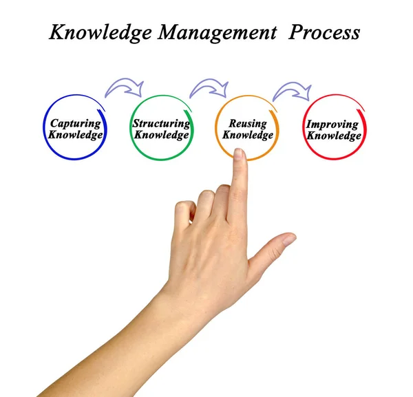 Components Process Knowledge Management — Foto Stock