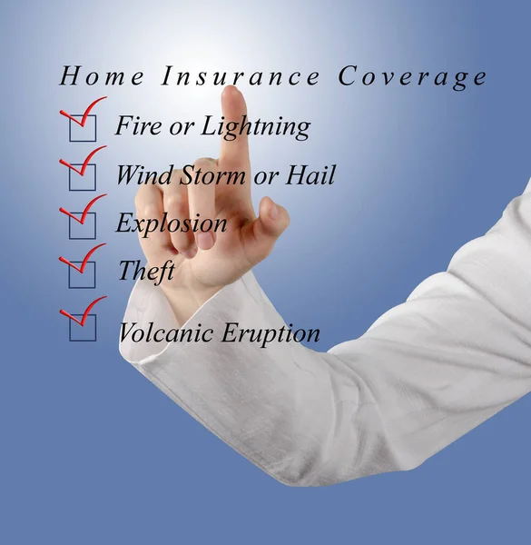 Woman Presenting Home Insurance List — Stok fotoğraf