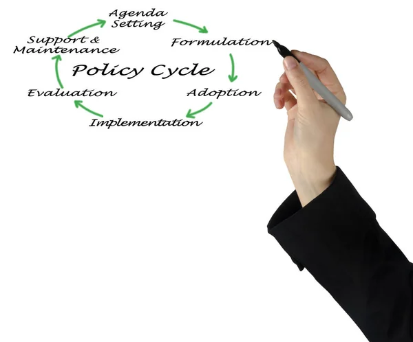 Six Components Policy Cycle — Zdjęcie stockowe