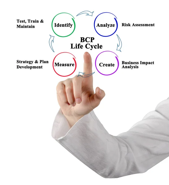 Business Continuity Planning Bcp Life Cycle — Stock Photo, Image