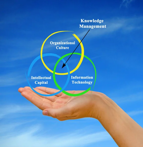 Three Components Knowledge Management — стоковое фото