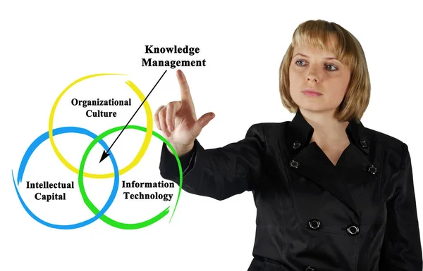 Three Components Knowledge Management — Stock Photo, Image