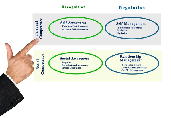 Presenting Diagram Emotional Intelligence — Stock Photo, Image