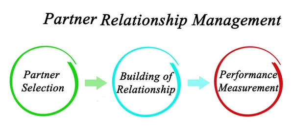 Components Partner Relationship Managemen — Stock Photo, Image