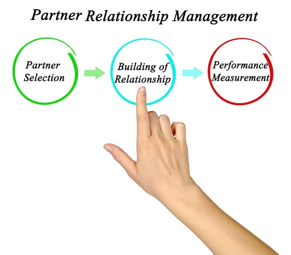 Components Partner Relationship Management — Stock Photo, Image