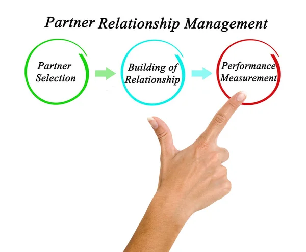 Woman Presenting Partnership Relationship Management — Stock Photo, Image