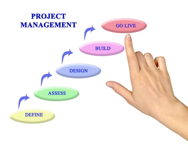 Fünf Komponenten Des Projektmanagements — Stockfoto