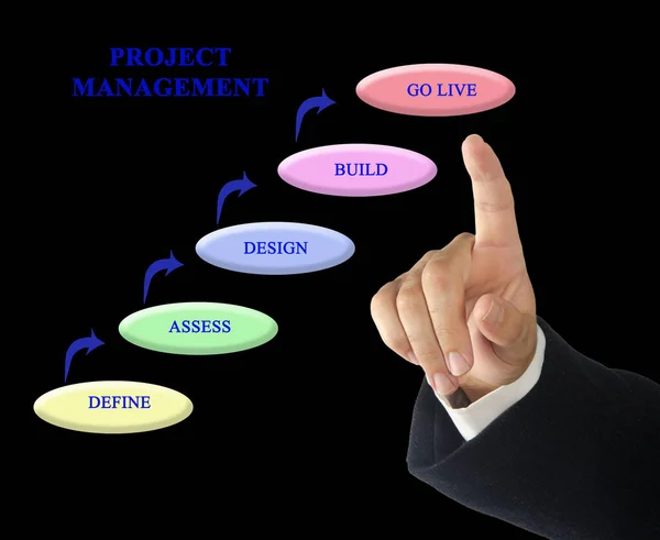 Vijf Onderdelen Van Project Management — Stockfoto