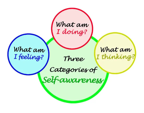 Three Categories Self Awareness — Foto Stock