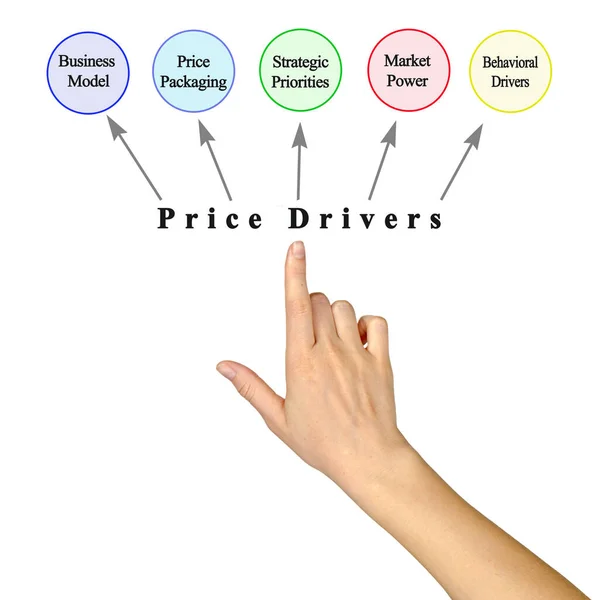 Man Presenting Six Price Drivers — Stock Photo, Image