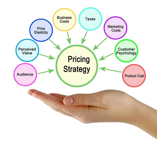 Osm Faktorů Ovlivňujících Cenovou Strategii — Stock fotografie