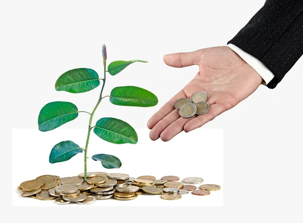 Man Investing Green Business — Stock Photo, Image