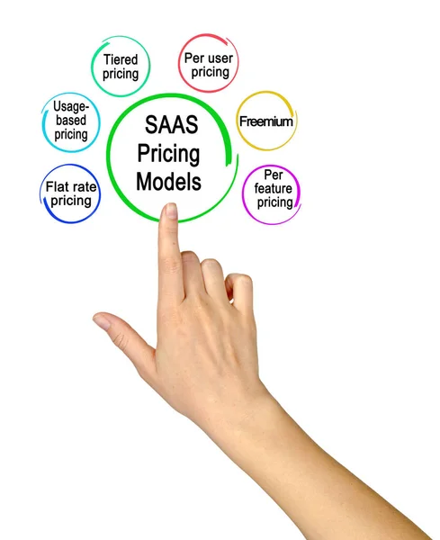Six Models Saas Pricing — Stock Photo, Image