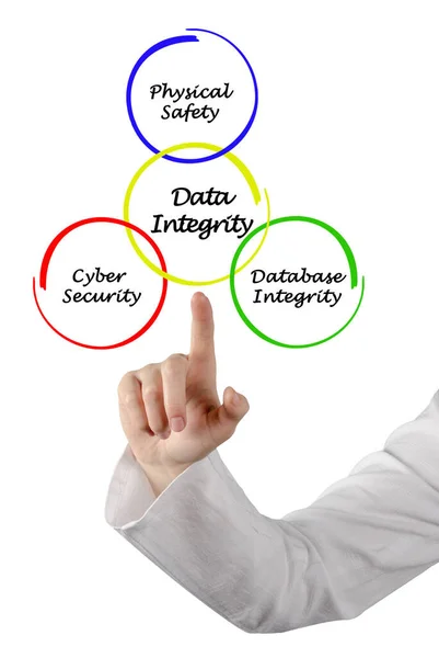 Three Componets Data Integrity — Stock Photo, Image